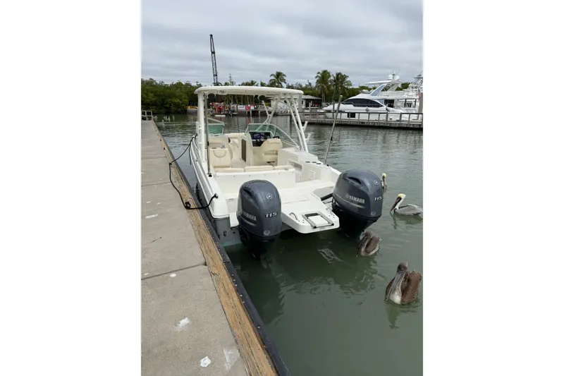 Slide: The Image of 2017 World Cat 230 SD boat docked with pelicans nearby in a marina. - 16