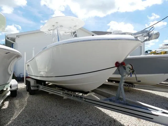 The Image of Release 240 2019 - 1