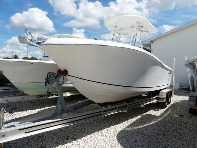 Slide: The Image of Release 240 2019 - 2