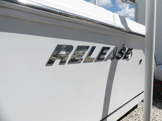 Slide: The Image of Release 240 2019 - 3