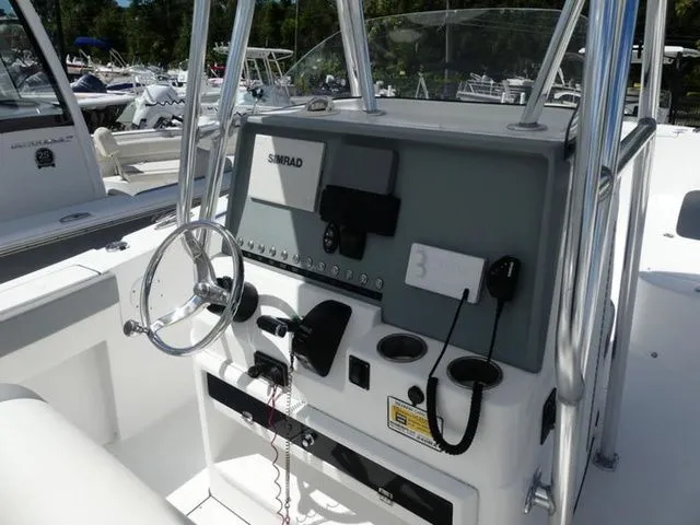 Slide: The Image of Release 240 2019 - 8