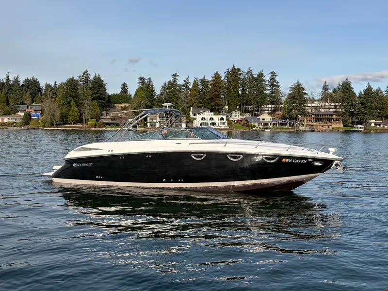 The Image of Cobalt 323 2008 - 1