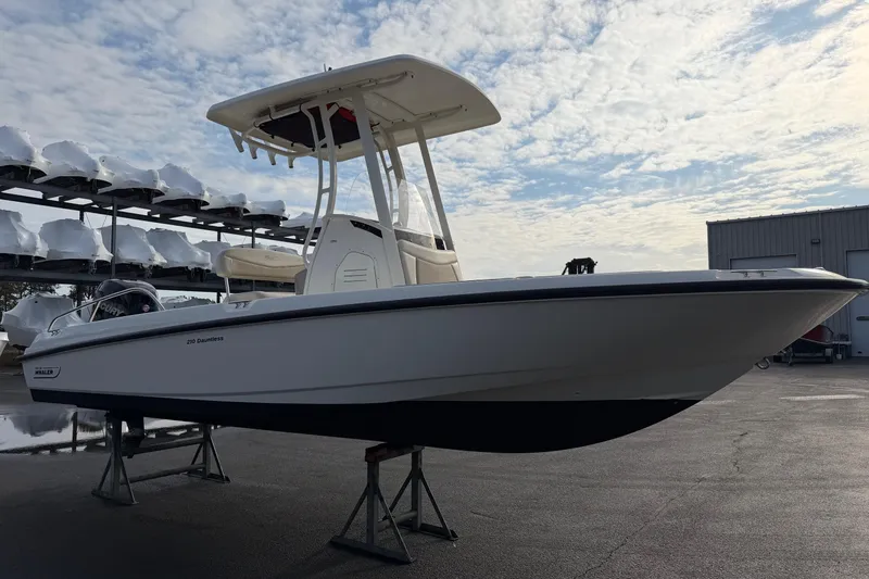 Slide: The Image of 2017 Boston Whaler 210 Dauntless boat on stands, outdoor storage facility. - 3