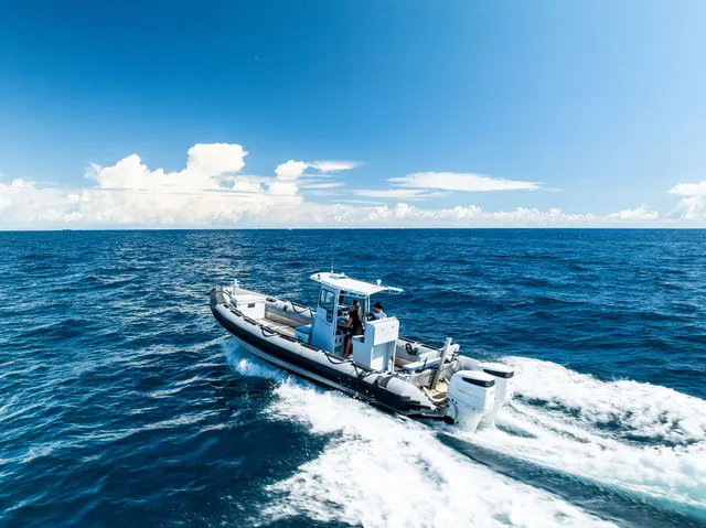 Slide: The Image of Zodiac Cadet 310 Aero 2025 - 18
