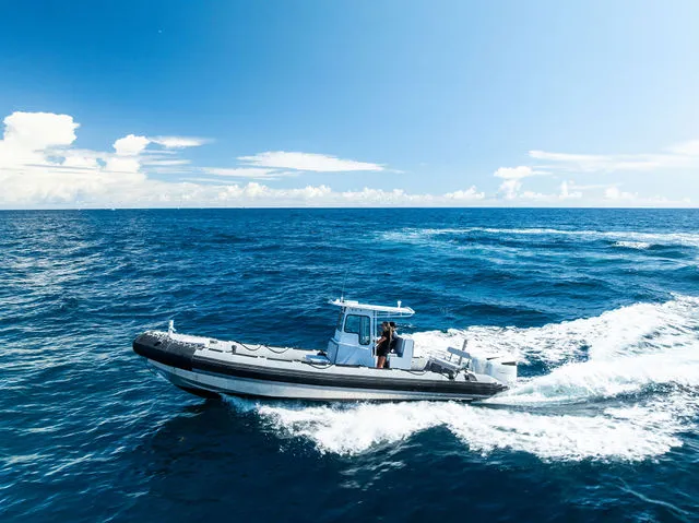 Slide: The Image of Zodiac Cadet 310 Alu 2025 - 19