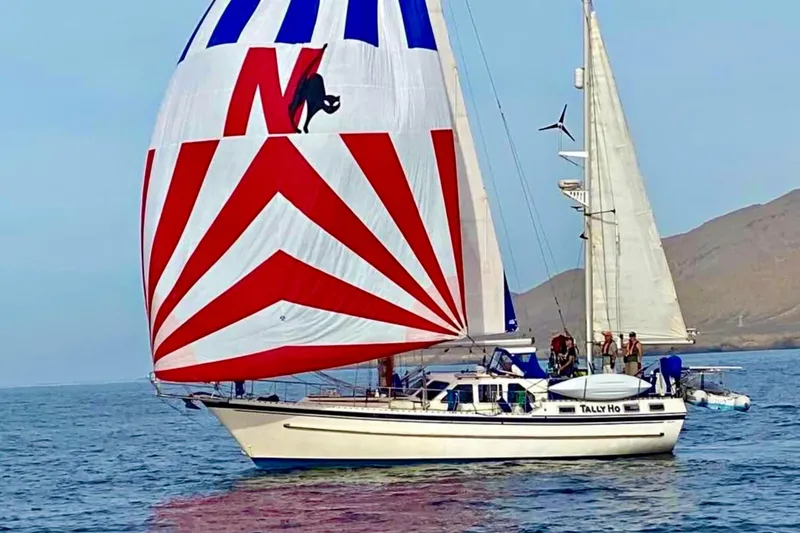 The Image of TALLY HO Nauticat 43 underway with spinnaker sailing on calm waters. - 0