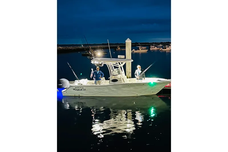 Slide: The Image of 2019 Sea Fox 249 Avenger boat at night with fishing rods and lights. - 12