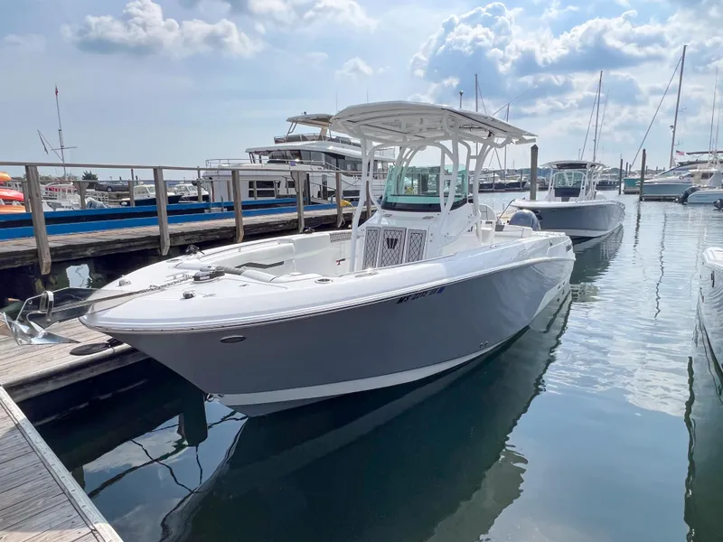 The Image of Wellcraft 262 - 0