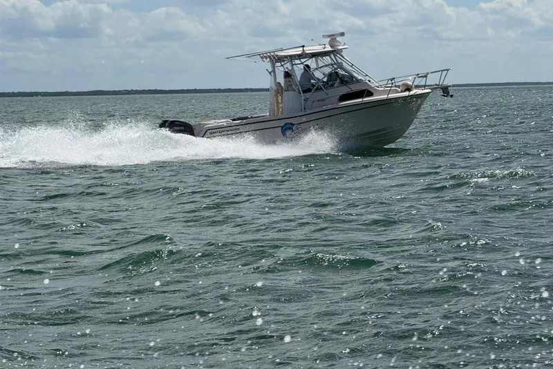 Slide: The Image of 2006 Grady-White Sailfish 282 boat cruising on open water under cloudy skies. - 34