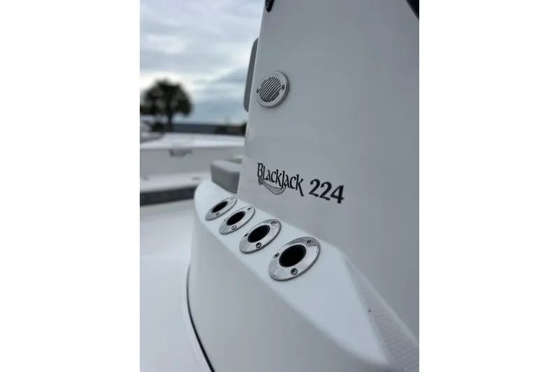Slide: The Image of 2018 BlackJack 224 boat detail with rod holders and logo. - 13
