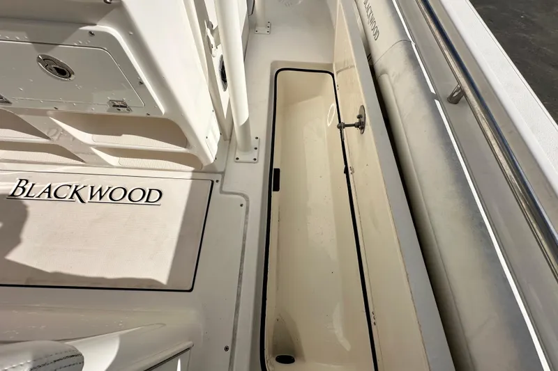 Slide: The Image of 2018 Blackwood 27 Bayboat storage compartment with speakers, viewed from below. - 38
