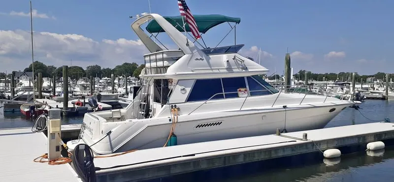 The Image of Sea Ray Sedan Bridge 1994 - 0