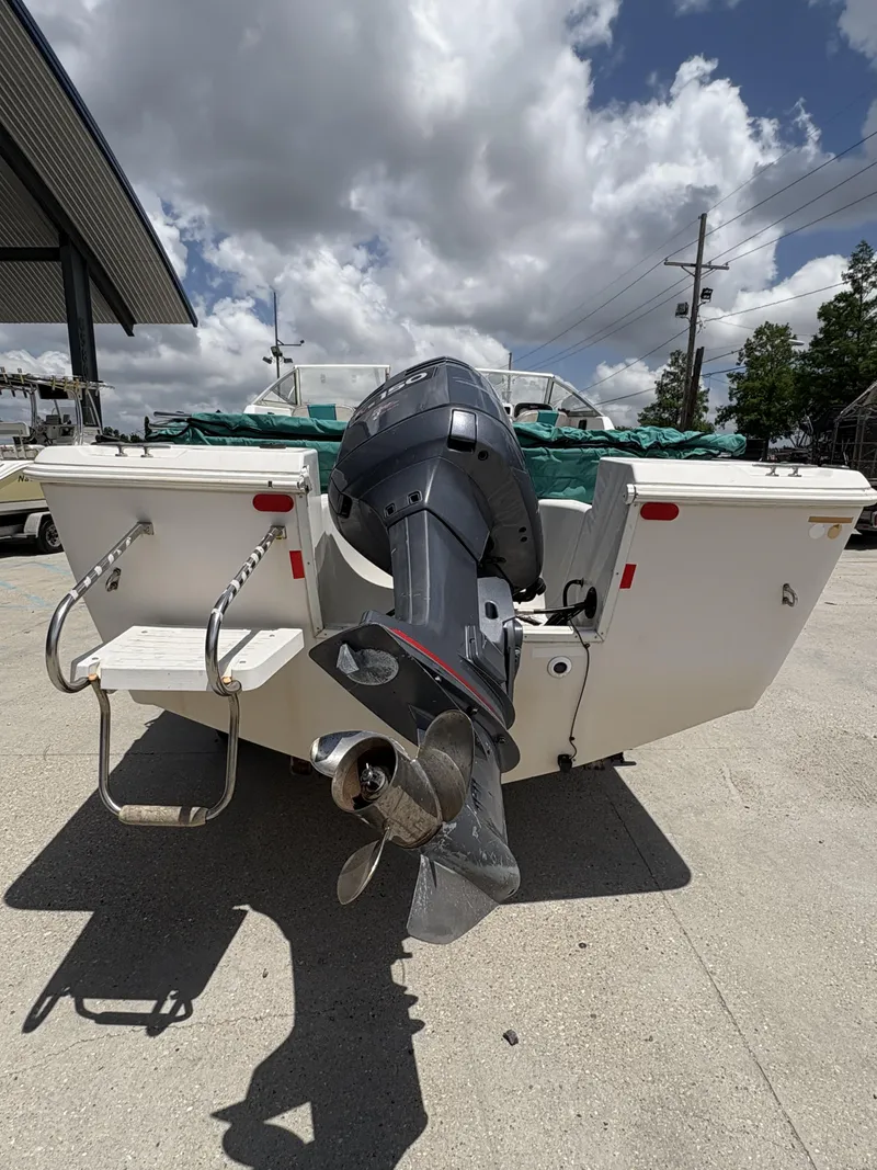 Slide: The Image of 1996 Pro-Line 202 boat with outboard motor, docked under cloudy sky. - 4