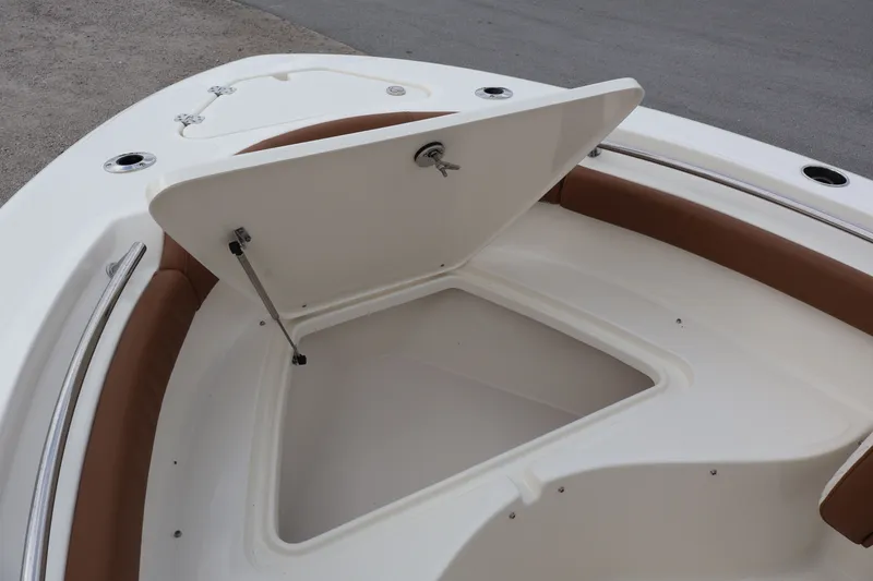 Slide: The Image of Pioneer 202 Islander 2026 - 12