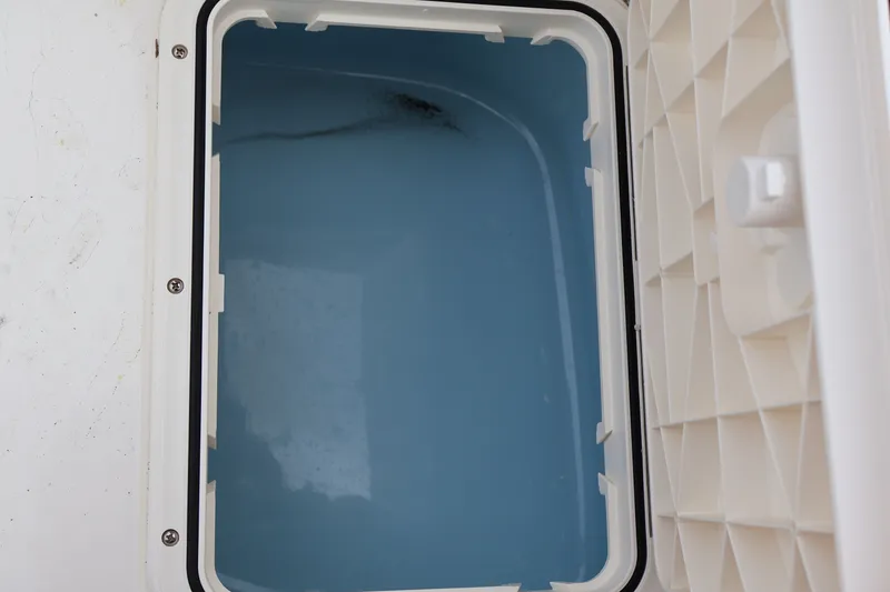 Slide: The Image of Pioneer 202 Islander 2026 - 14