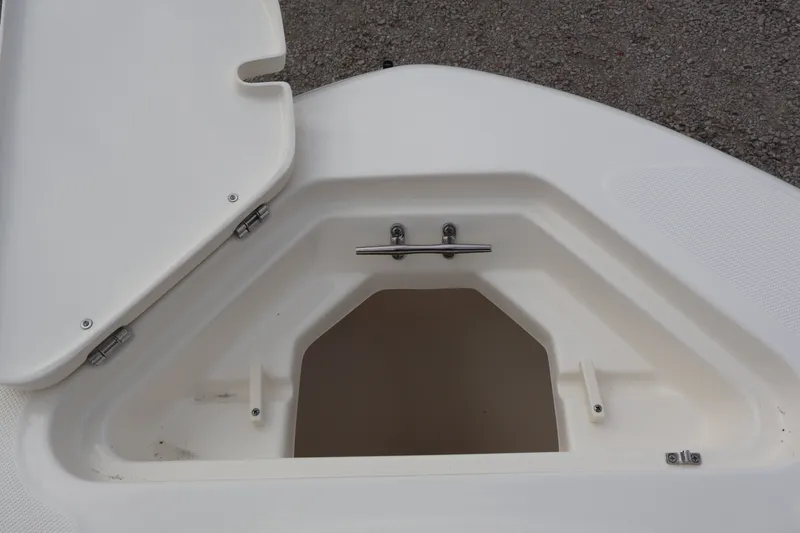 Slide: The Image of Pioneer 202 Islander 2026 - 19