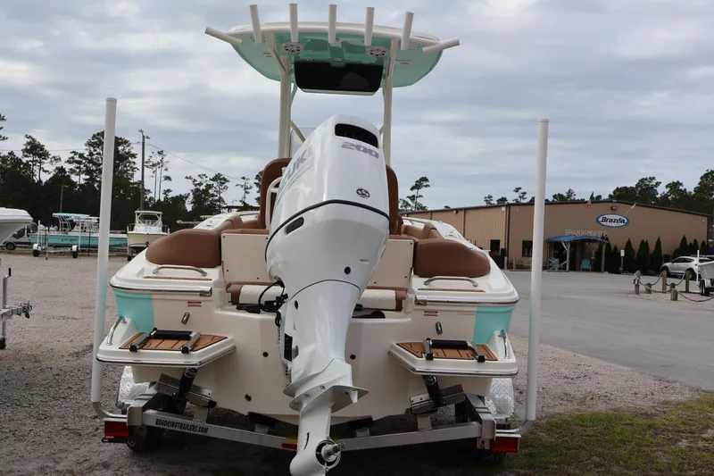 Slide: The Image of Pioneer 202 Islander 2026 - 5