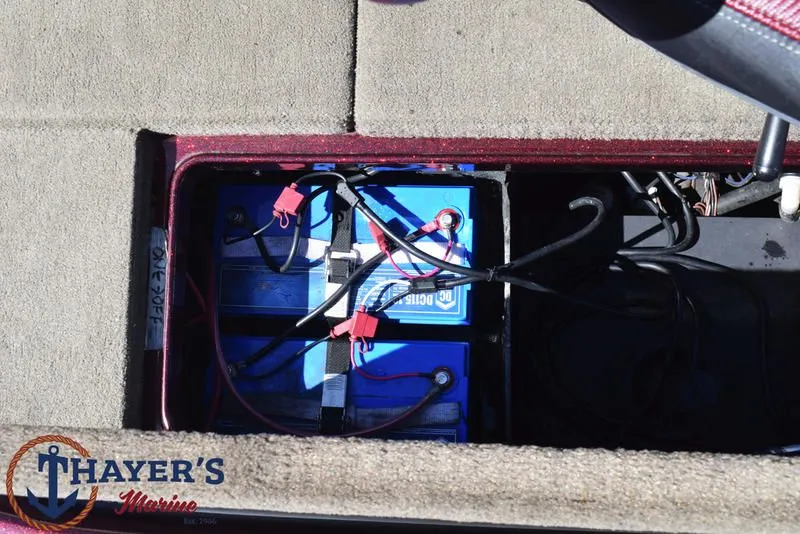 Slide: The Image of Ranger Z519 2019 - 17