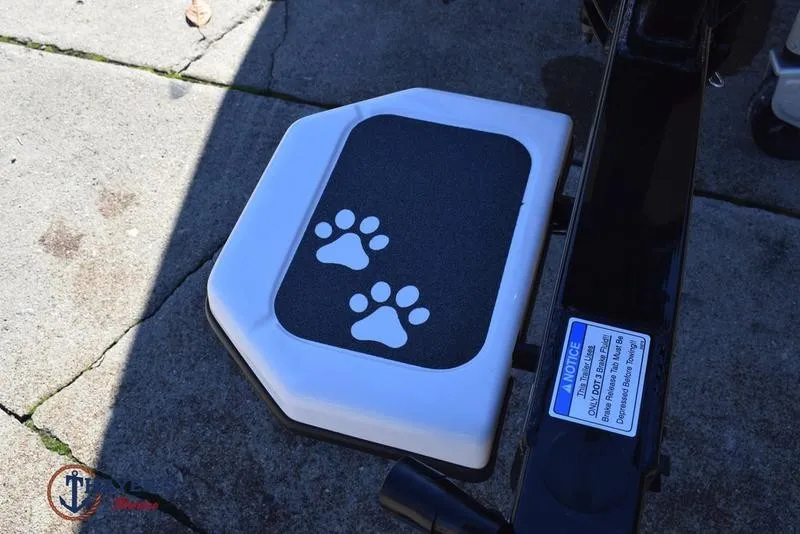 Slide: The Image of Bass Cat Cougar FTD SP 2026 - 35