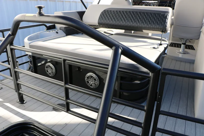 Slide: The Image of Sylvan L3 CLZ DH Tri Toon 2026 - 20