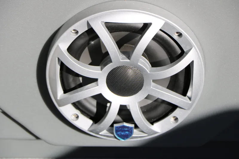 Slide: The Image of Sylvan L3 CLZ DH Tri Toon 2026 - 33