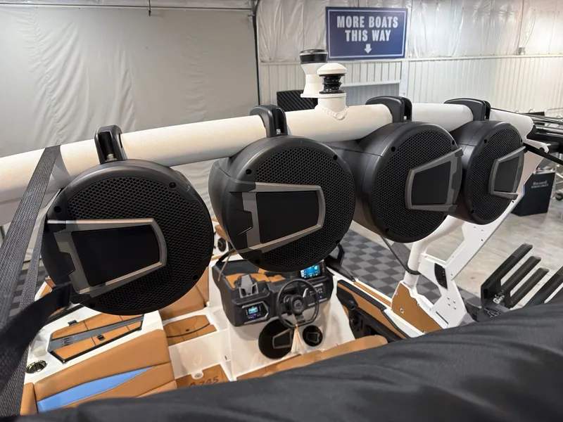 Slide: The Image of Axis A245 2026 - 17