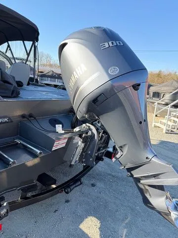 Slide: The Image of SeaArk Dynasty 2.0 - Yamaha 300 2026 - 3