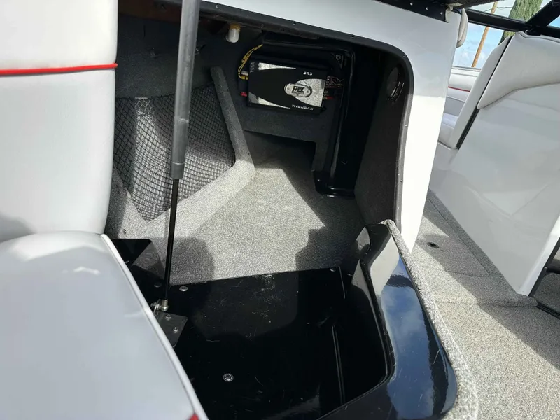 Slide: The Image of Sanger V230 2003 - 6