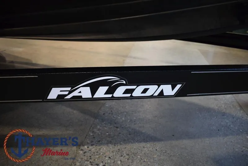 Slide: The Image of Falcon F195 2025 - 10