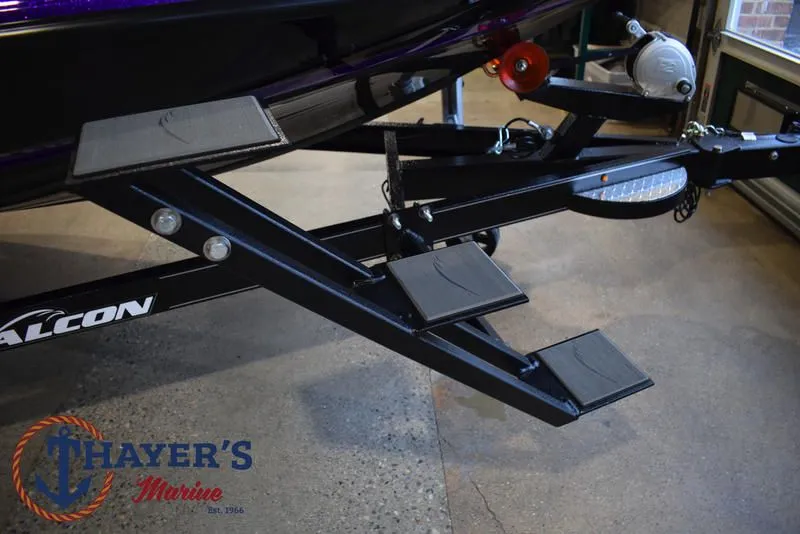 Slide: The Image of Falcon F195 2025 - 11