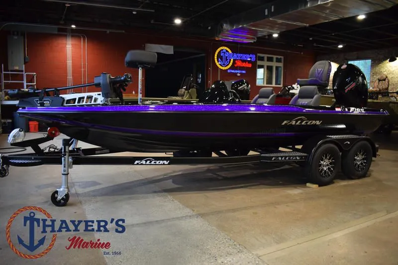 Slide: The Image of Falcon F195 2025 - 13