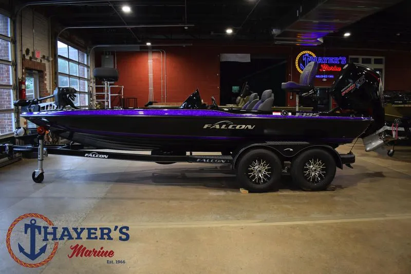 Slide: The Image of Falcon F195 2025 - 14