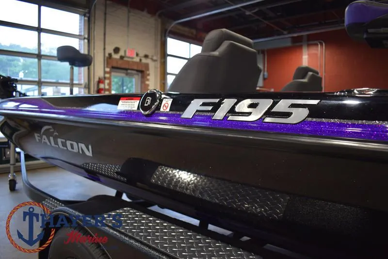 Slide: The Image of Falcon F195 2025 - 17