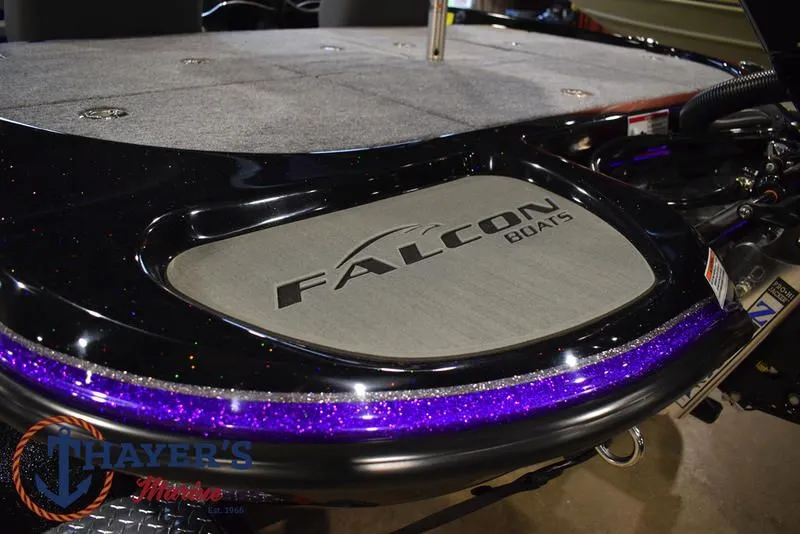 Slide: The Image of Falcon F195 2025 - 18