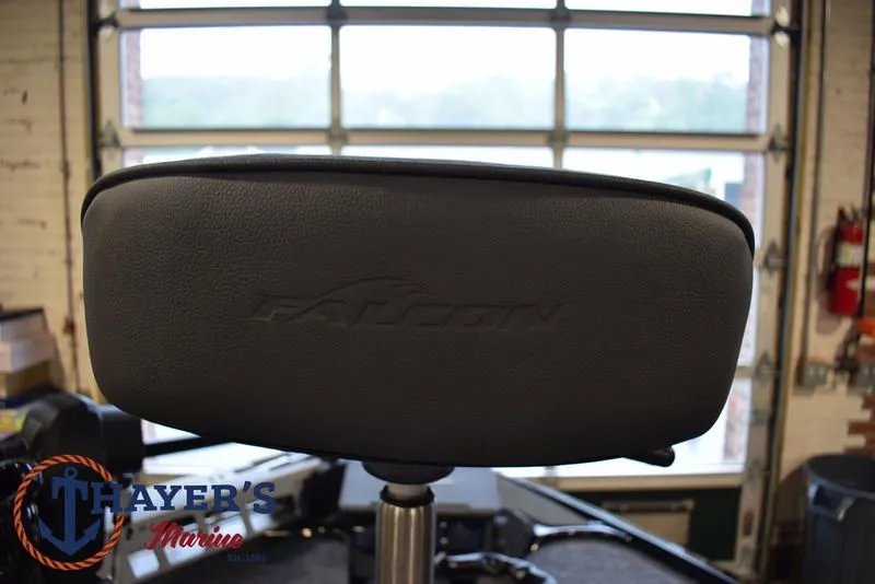 Slide: The Image of Falcon F195 2025 - 24