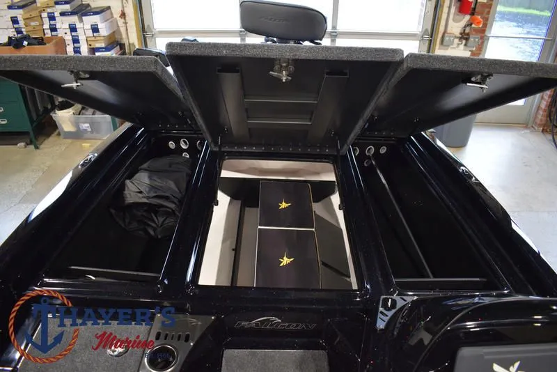 Slide: The Image of Falcon F195 2025 - 29