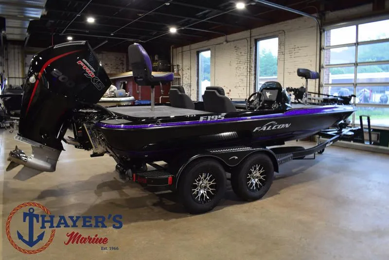 Slide: The Image of Falcon F195 2025 - 3