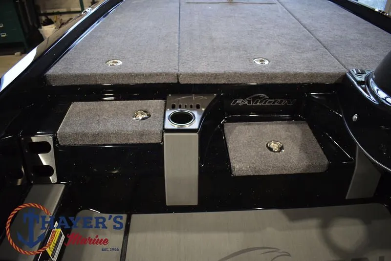 Slide: The Image of Falcon F195 2025 - 31