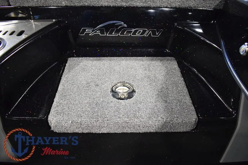 Slide: The Image of Falcon F195 2025 - 33