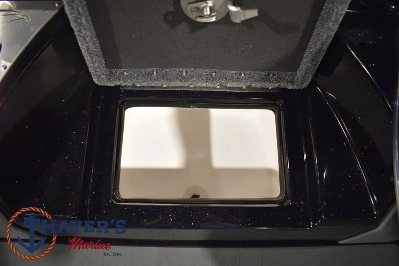 Slide: The Image of Falcon F195 2025 - 35