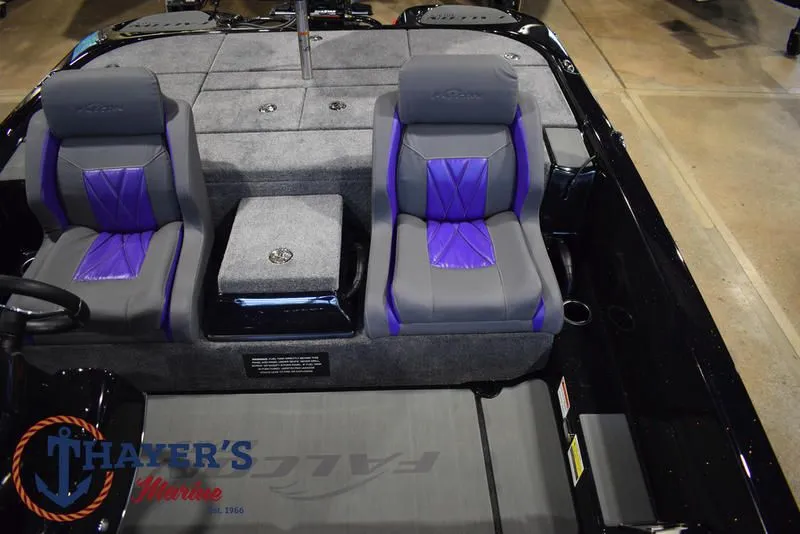 Slide: The Image of Falcon F195 2025 - 38