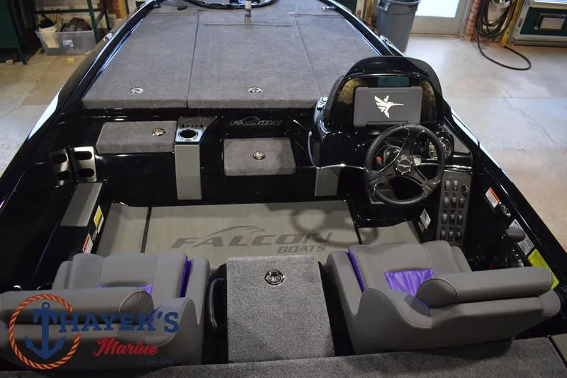 Slide: The Image of Falcon F195 2025 - 52