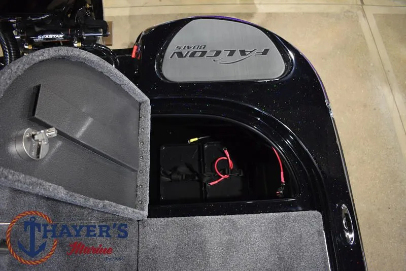 Slide: The Image of Falcon F195 2025 - 58