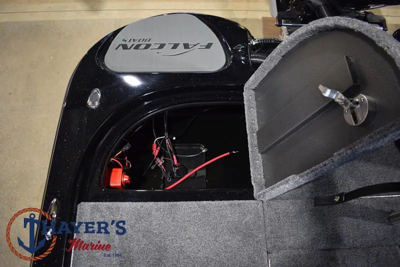 Slide: The Image of Falcon F195 2025 - 59