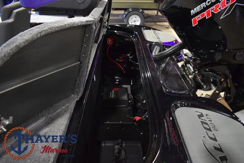 Slide: The Image of Falcon F195 2025 - 60