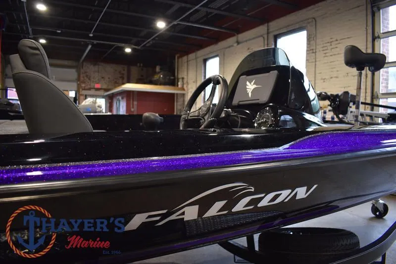 Slide: The Image of Falcon F195 2025 - 65