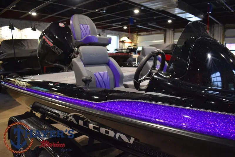 Slide: The Image of Falcon F195 2025 - 66