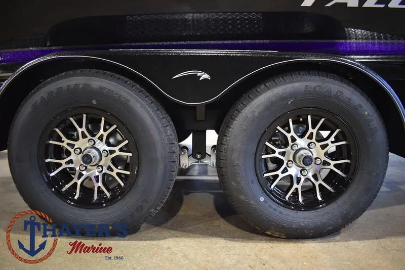 Slide: The Image of Falcon F195 2025 - 7