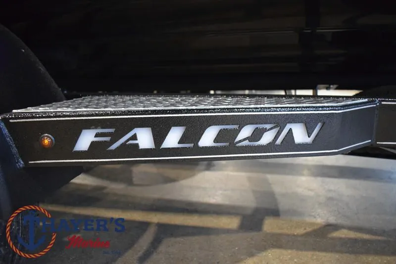 Slide: The Image of Falcon F195 2025 - 8