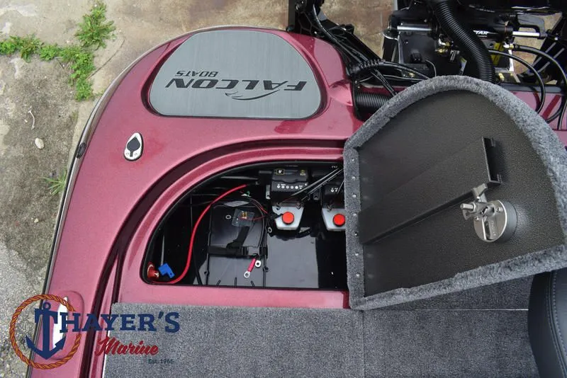 Slide: The Image of Falcon 20 TE 2025 - 11